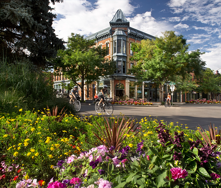 Fort Collins to Denver Airport Shuttle